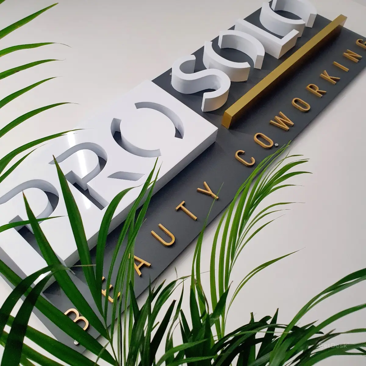 Beauty coworking Prosolo