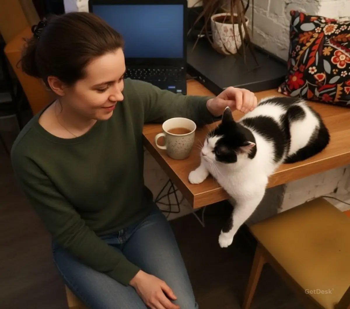 Котобюро, антикафе
