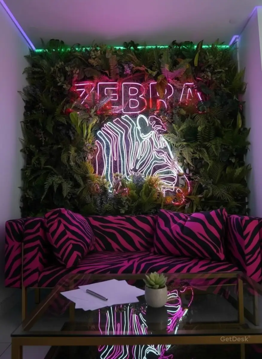 Zebra